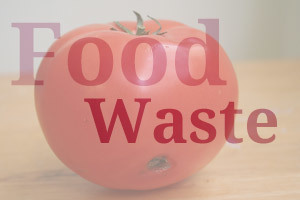 Ein Wochenende am Food Waste Hackathon